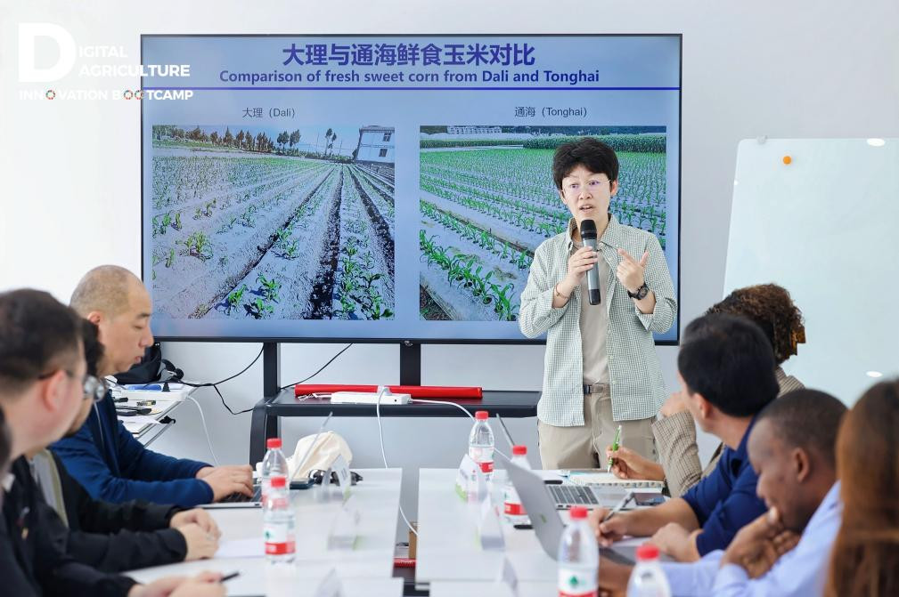 中国农业大学副教授金可默向海内外农创客代表介绍养分智慧管控平台。傅俊豪|摄
