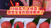 6·6给荔节太给荔!感觉全省的荔枝都来了 6·6给荔节太给荔!感觉全省的荔枝都来了
