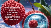 给LI!今天,广东要干一件大事 给LI!今天,广东要干一件大事