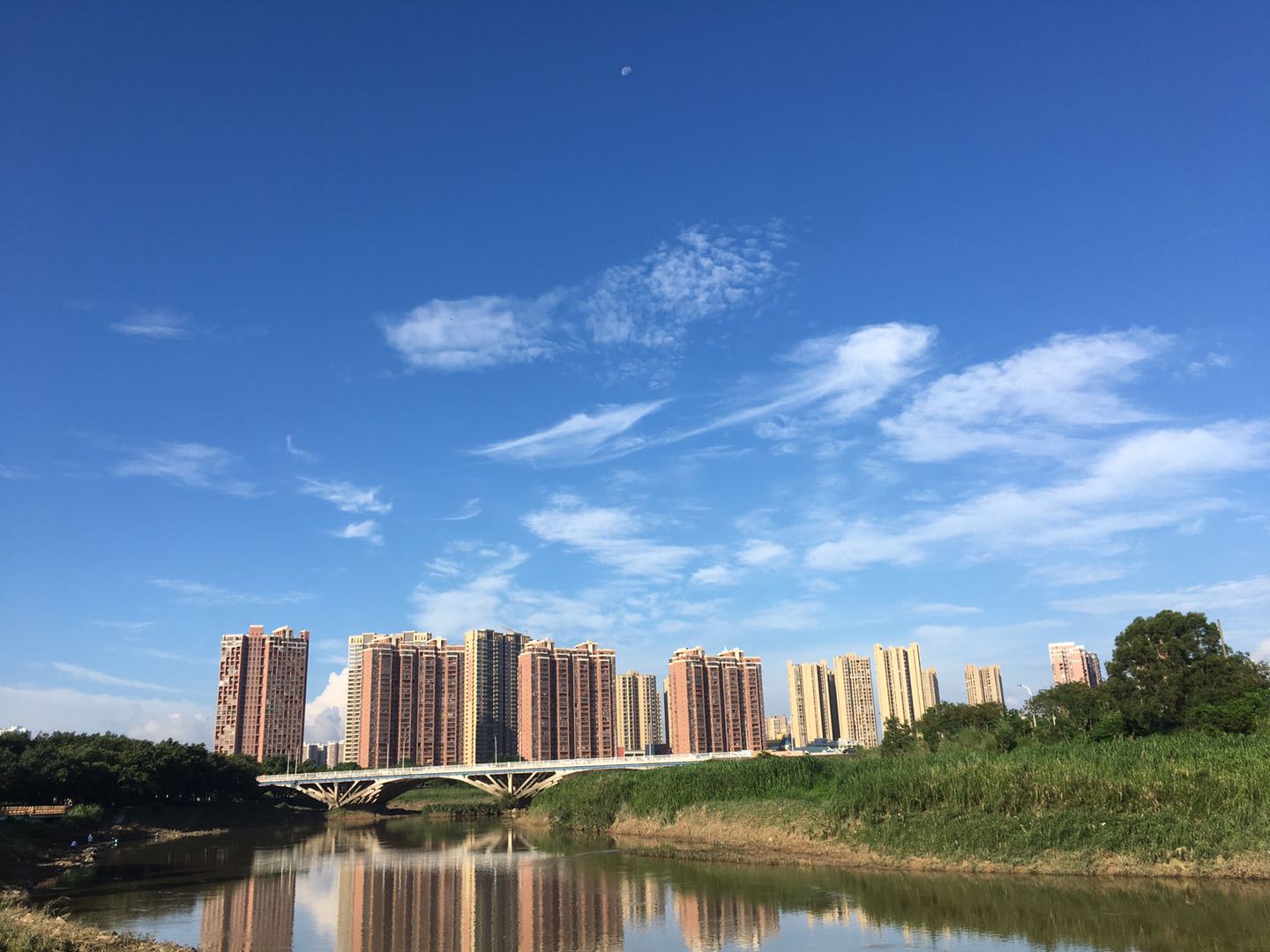 半岛体育- 半岛体育官方网站- 半岛体育APP下载半岛（中国）