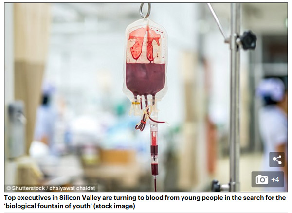 Silicon Valley executives are getting $8,000 BLOOD transfusions from the young in an effort to turn the clock back on ageing