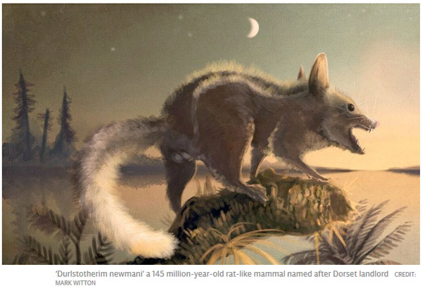 Mankind's oldest mammal ancestor discovered: a West Country rat named after pub landlord
