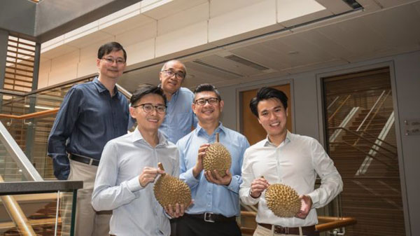 An odour gene which gives the thorny fruit its notoriously pungent scent