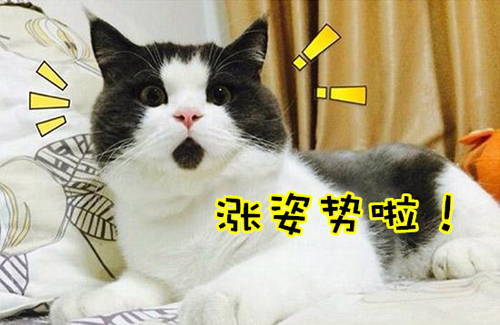 7 Facts that make you say "Amazing"