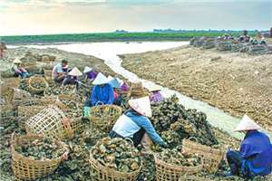 Ancient international trade hub revitalizes former global role