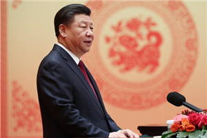 Xi's Spring Festival greetings touch, inspire overseas Chinese