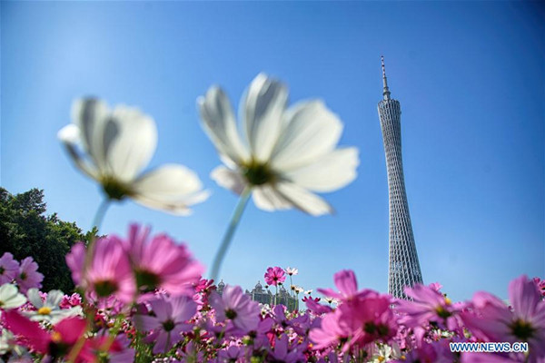 Spring view of Guangzhou, S China's Guangdong
