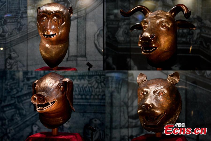 This combo photo shows four bronze animal heads exhibited in Zhaoqing City, Guangdong Provinc, Aug. 8, 2018. The animal heads symbolizing the 12 animal signs of the Chinese zodiac, including pig, ox, monkey and tiger, were originally water outlets, part of the fountain in the Old Summer Palace. Poly became a household name by acquiring the four animal heads from foreign auction houses, the centerpiece in Poly Art Museum in Beijing. (Photo: China News Service/Zhao Jimin)