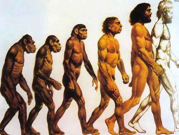 6 'facts' about the human body debunked by science