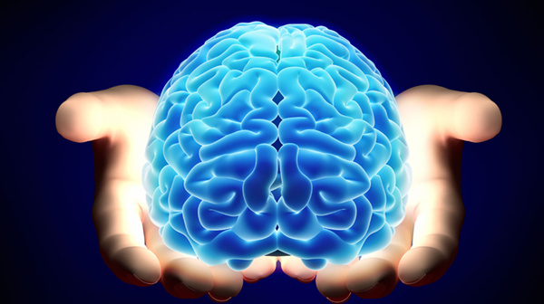 The ages you're the smartest at everything throughout your life