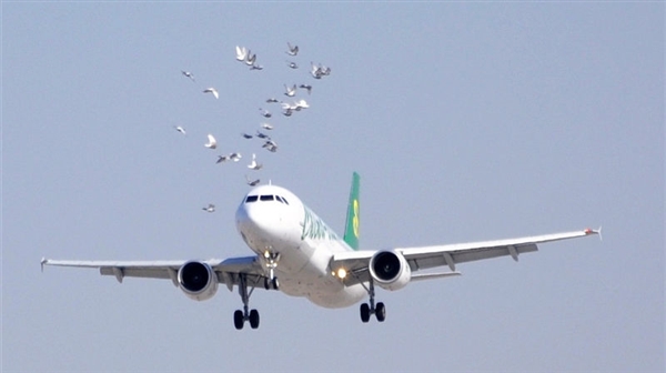 Facts you may not know about air journeys