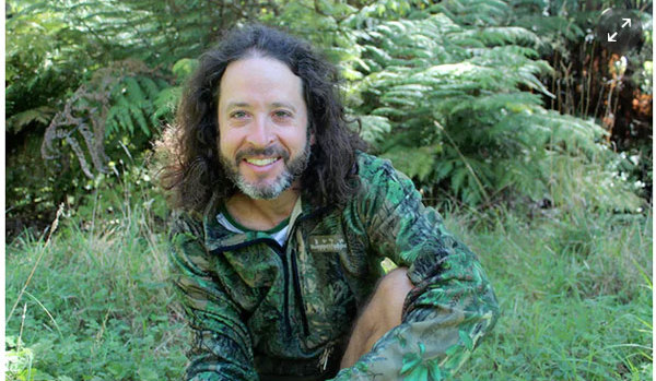 No classrooms, lessons or homework: New Zealand school where children are free to roam
