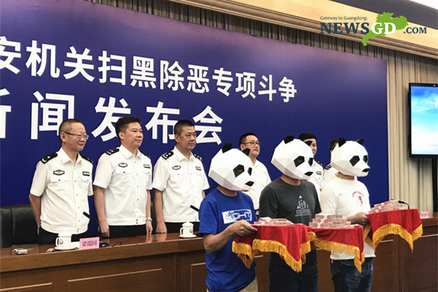 “Pandas” help Guangdong police to crack down on criminal gangs 