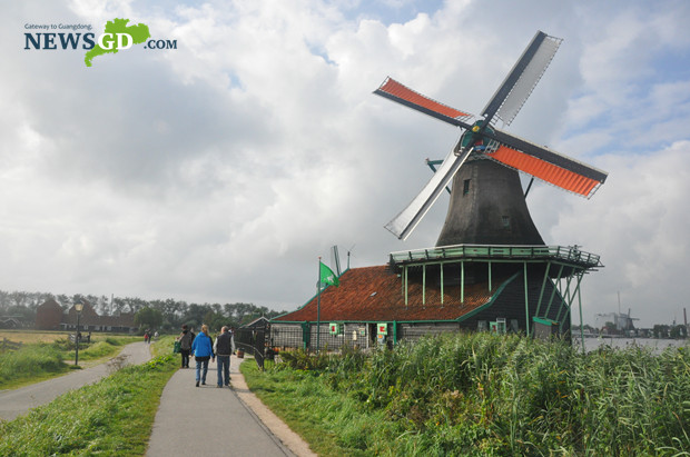 Windmill, the landmark of the Netherlands, witnesses the agricultural development in the Netherlands.