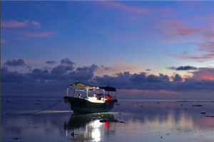 Zhanjiang seeks inspiration from overseas highway