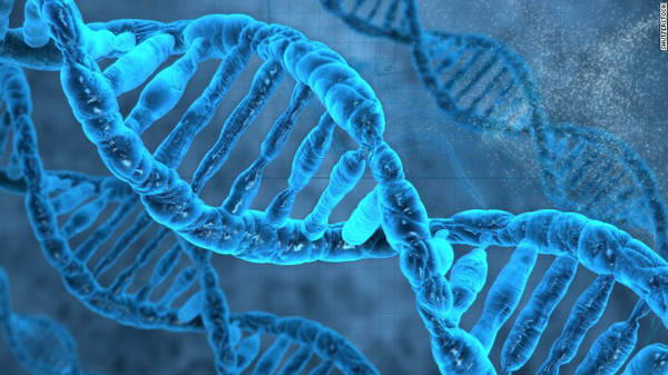Report: Scientists edit human embryos for first time in US