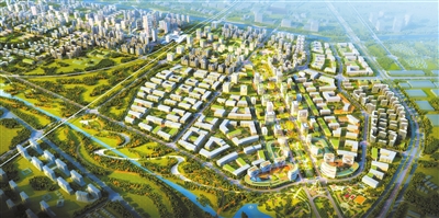 p1.jpg