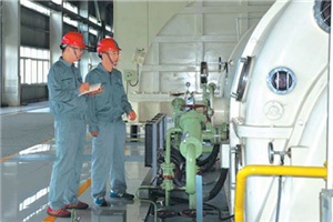 Engineering giant makes great headway in SE Asian power sector