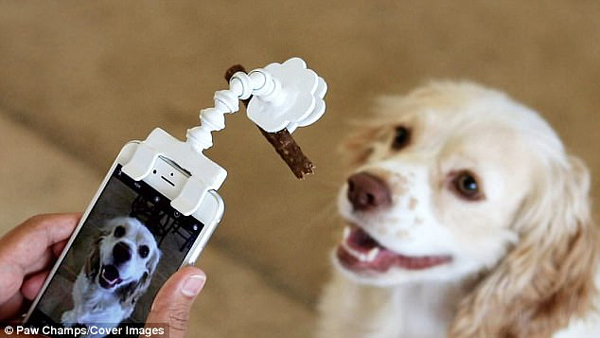The pawfect picture: £10 phone gadget that allows you to dangle a treat for your dog, tricks pets into looking at the camera for the perfect snap!