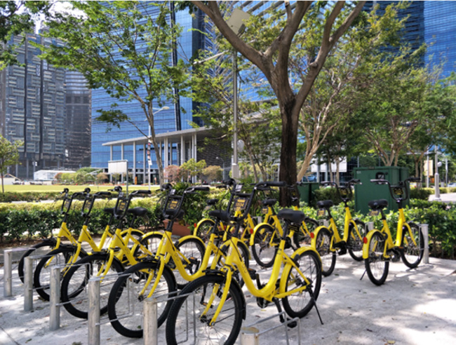Ofo launches its bike-sharing service in Singapore on March 21, 2017. [Photo: thepaper.cn]