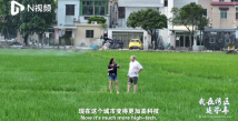 My life in the Greater Bay Area | Australian freelance writer: Everyone should come to see China before commenting My life in the Greater Bay Area | Australian freelance writer: Everyone should come to see China before commenting