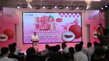 莞韶携手 “果”然给“荔”!这场推介会太美味 莞韶携手 “果”然给“荔”!这场推介会太美味