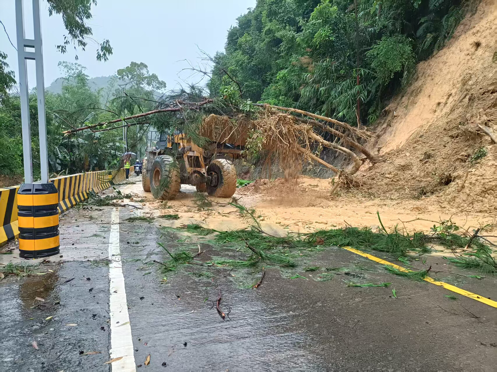 云城区云城街道：全面应对“蝴蝶”台风