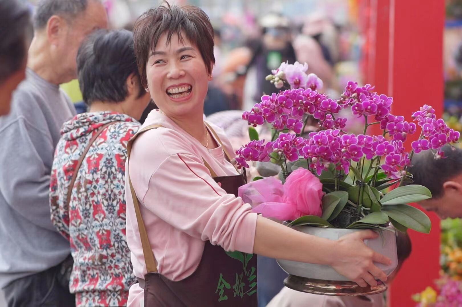 1：The Chencun Phalaenopsis are in high demand both at home and abroad. Photo by Dai Jiaxin. 受访者供图