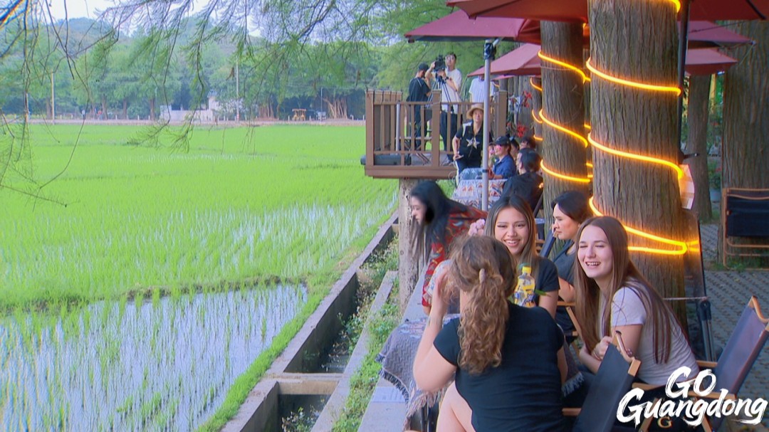 Yakou Village: Urban dwellers enticed by endless paddy fields, seamless transportation