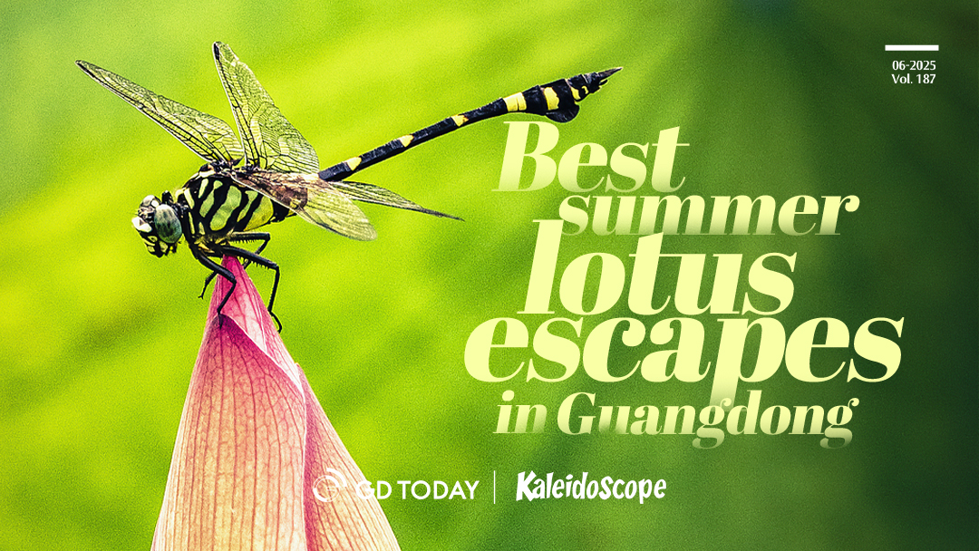 Best summer lotus escapes in Guangdong