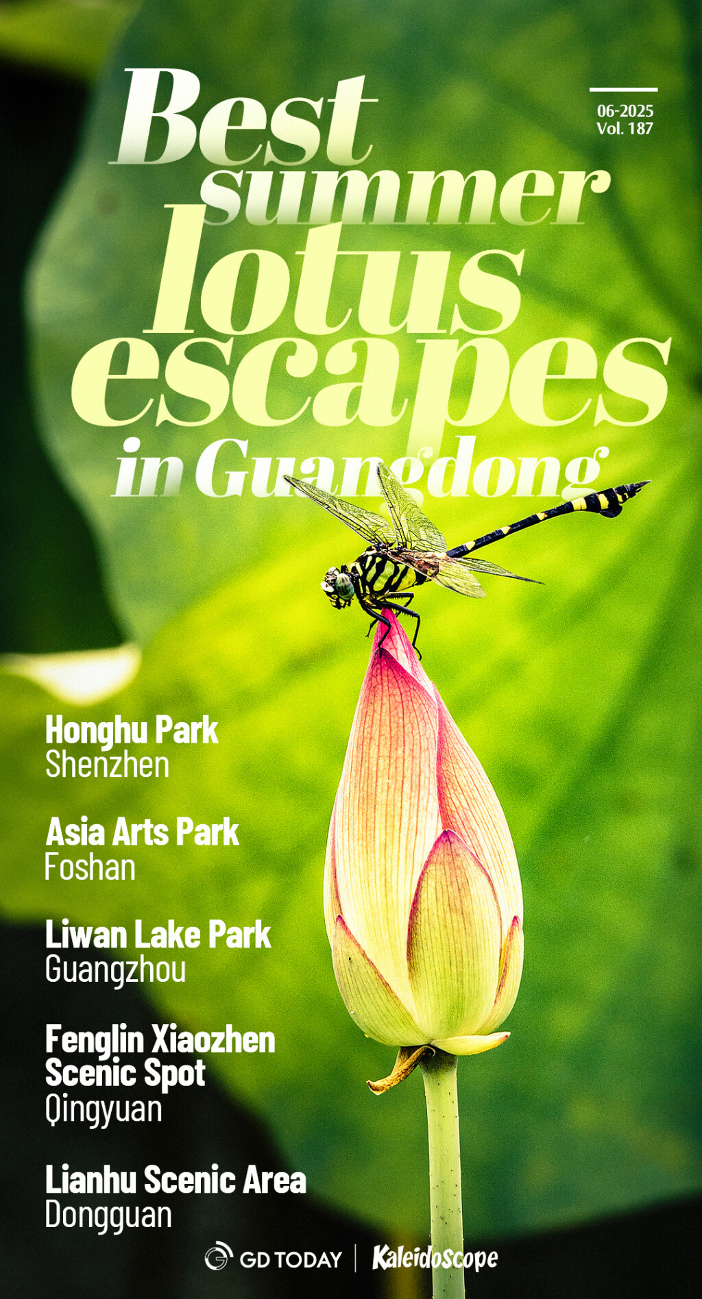 Best summer lotus escapes in Guangdong