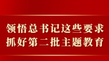 领悟总书记这些要求,抓好第二批主题教育 领悟总书记这些要求,抓好第二批主题教育
