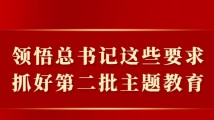 领悟总书记这些要求，抓好第二批主题教育