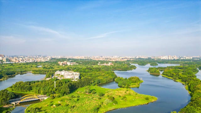 达到超大城市标准！东莞“晋级”，湾区“进化”