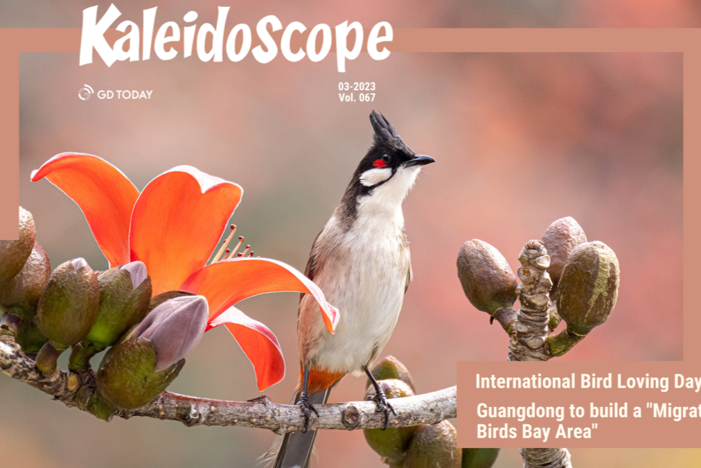 International Bird Loving Day | Guangdong to build a "Migratory Birds Bay Area"