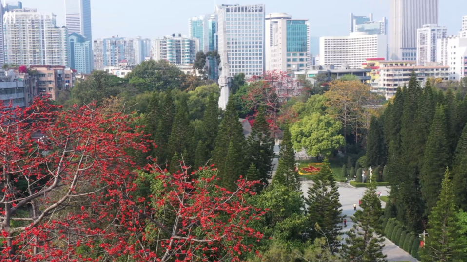 英雄花开英雄城 文艺志愿“传精神”