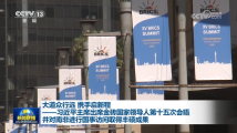 习近平主席出席金砖国家领导人第十五次会晤并对南非进行国事访问取得丰硕成果 习近平主席出席金砖国家领导人第十五次会晤并对南非进行国事访问取得丰硕成果