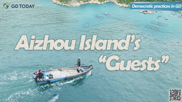 Democratic practices in GD |Aizhou Island's "Guests"