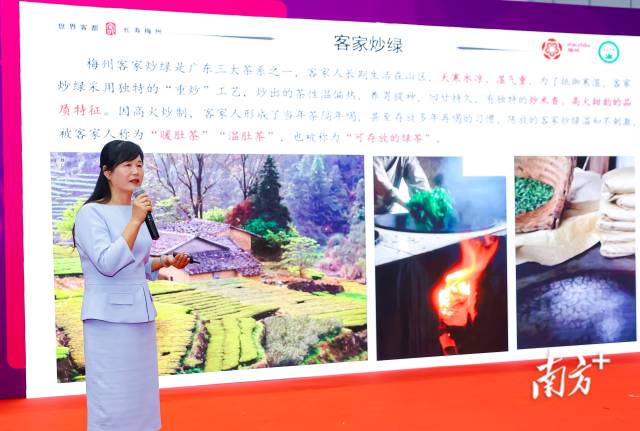 梅州市农林科学院茶叶研究所所长黄海英推介嘉应茶·客家炒绿。