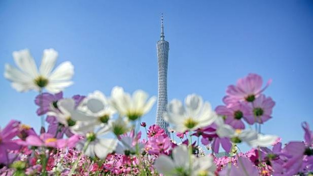 广州着实太有面子了