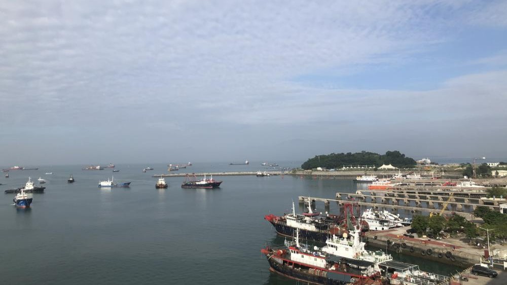 向海图强看广东⑩：阳江渔港的日与“夜”｜强信心 稳预期 促发展