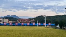 乡村行·看振兴|广东水头镇:新“五谷”激活乡村振兴新动能 乡村行·看振兴|广东水头镇:新“五谷”激活乡村振兴新动能