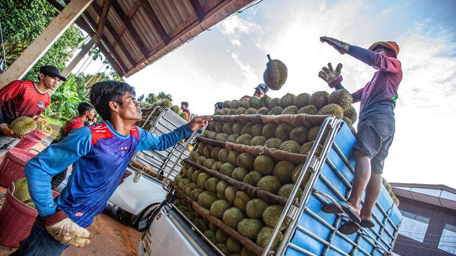Thai trainees attend fruit logistics class in China