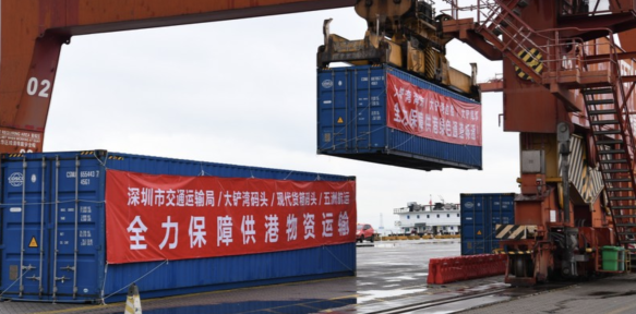 Logistics port in China's Shenzhen launches int'l ro-ro shipping route