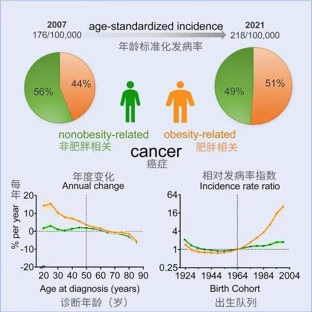 研究截图，任璇编译