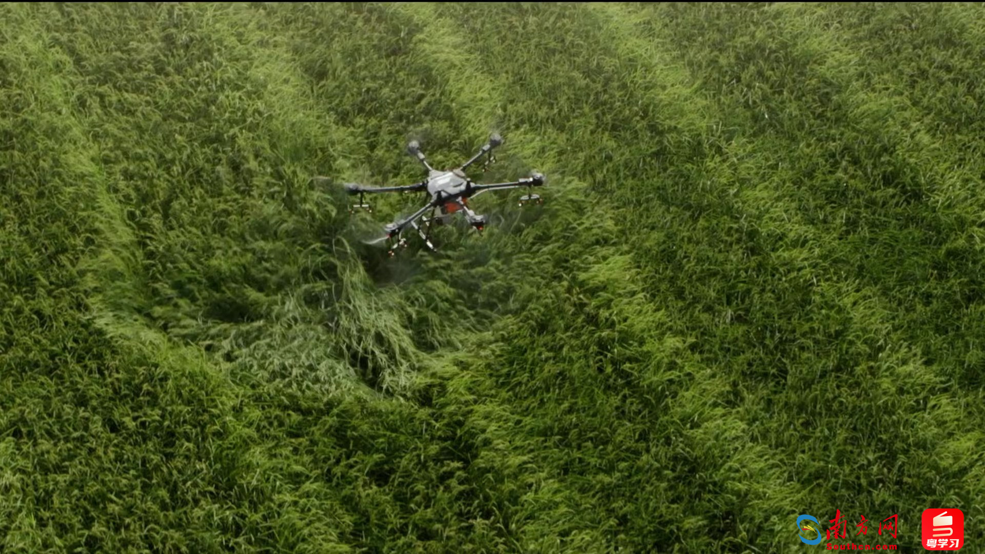 大疆无人机在农业方面的应用。