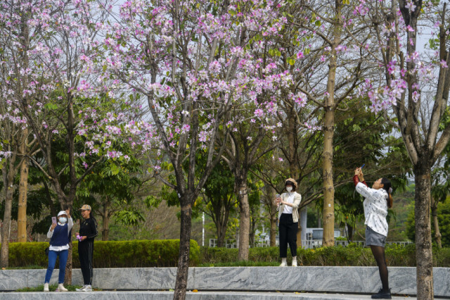 Dry and sunny weather to last till the end of February in Guangdong