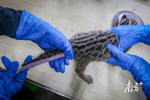 天津直專會2023門票多少錢