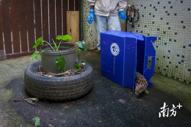 《泯沒線》將於1月25日V1.0轉正——終究章節泯沒神殿 齊新設念的女性機甲