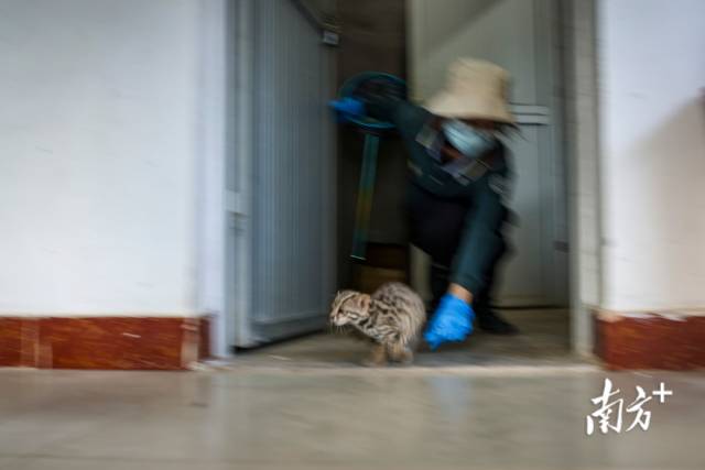 同類色服裝時尚插畫（同類色配合的服裝顯得柔和文雅）